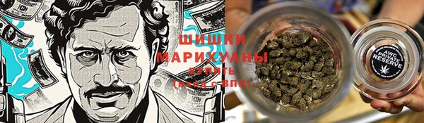 ешки Снежногорск