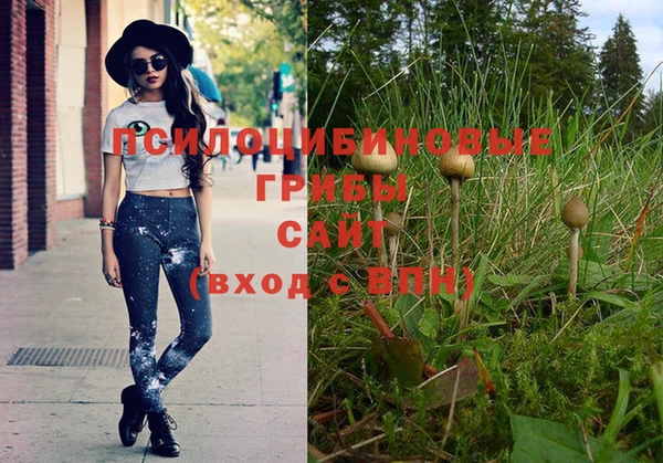СК Богданович