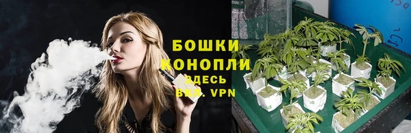 первитин Богородицк